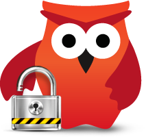 owl security